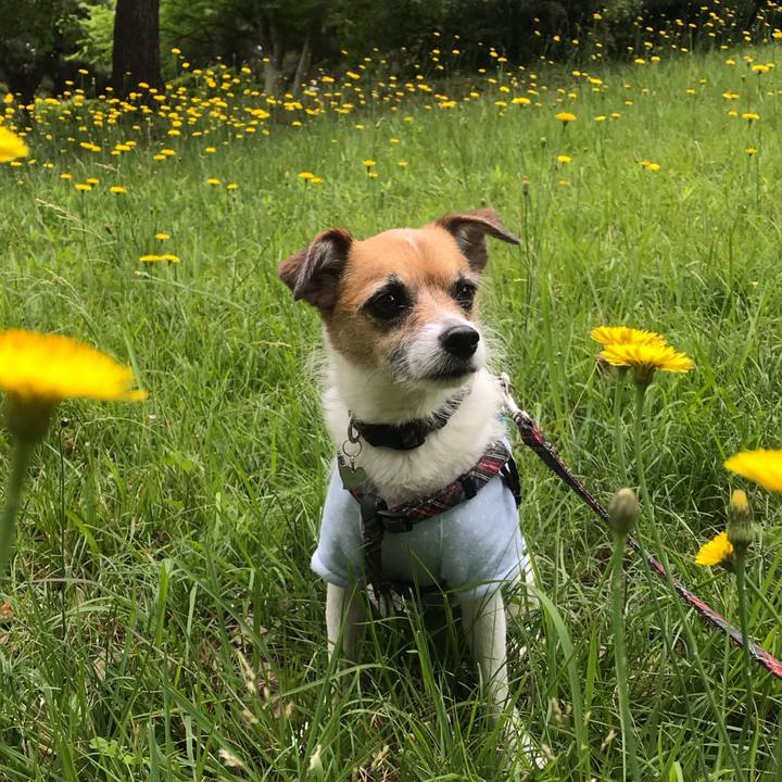 8b92fe44 3974 4c8c a01b f701e5064ddb 1527046264604