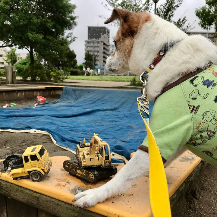 8b9307eb fba8 4b46 aba4 d8893b2716e5 1621557313437