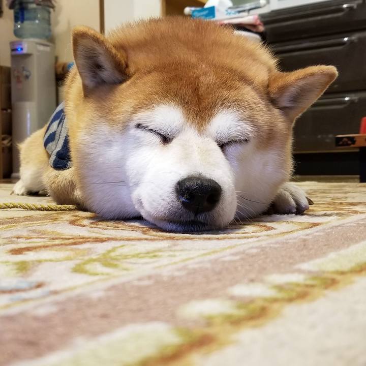 8b93268c f6c5 451e 90b4 af824ed9fff2 1577401463529