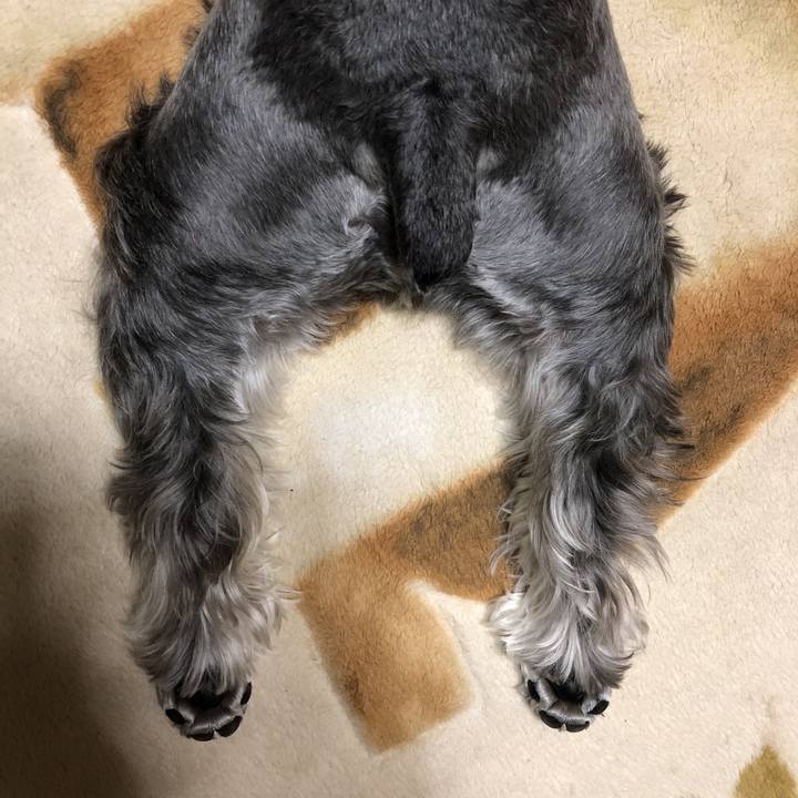 8b933d9c 4454 45a0 87e0 3f2db9537e90 1528205846305