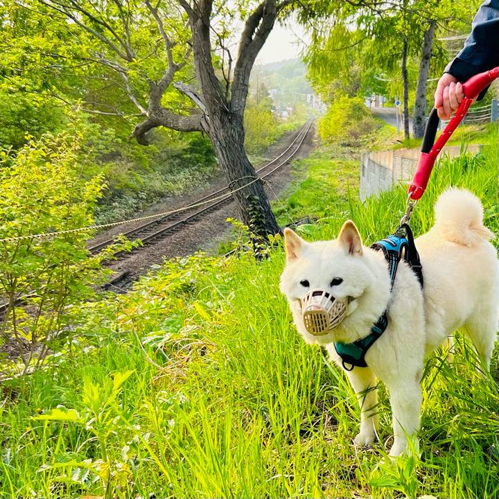 8b936d3f ceab 42fe a0d0 0449a36e6ff0 1684273512844