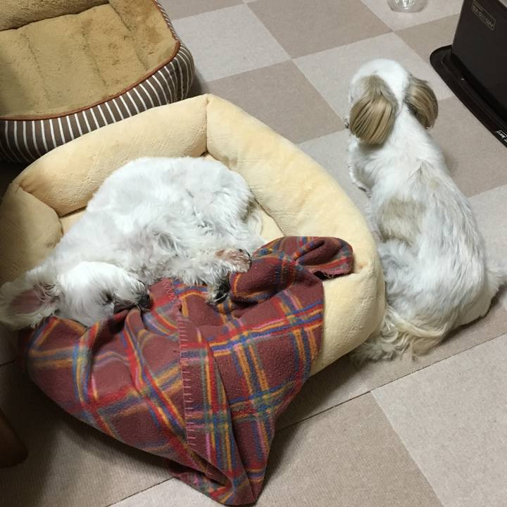 8b938f7a 2026 47f0 87a4 06b5d088a2d6 1554032603097