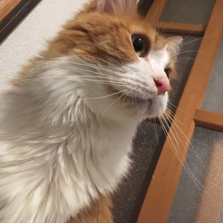 8b93c833 d8af 42fd 8b72 87d8f5853660 1573141272054