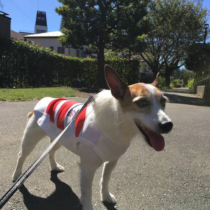 8b93cacf fc1b 448c 9473 8abbb25aa95e 1570931300273