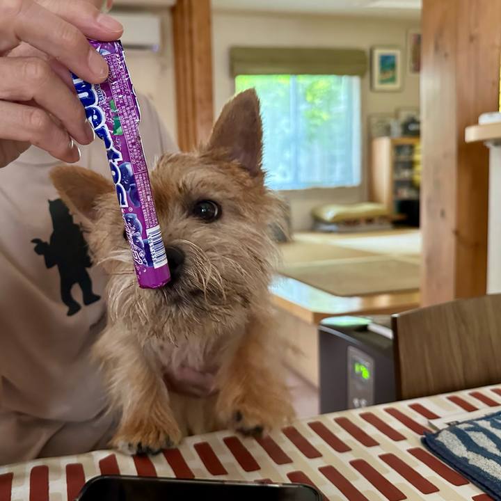 8b93e56b a1f3 4b03 bb16 db1a236f5075 1721539445363