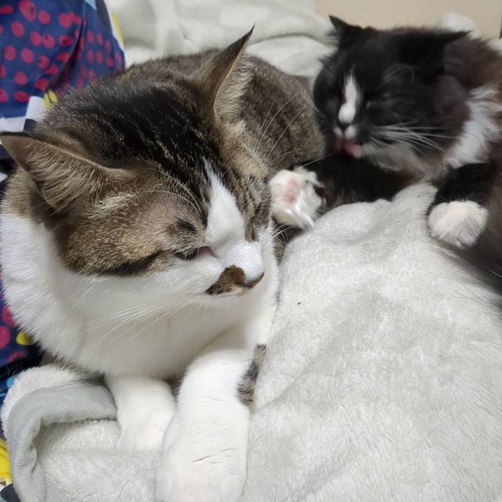 8b93ed43 7e49 493c bf23 36cdda2a1169 1671204651958