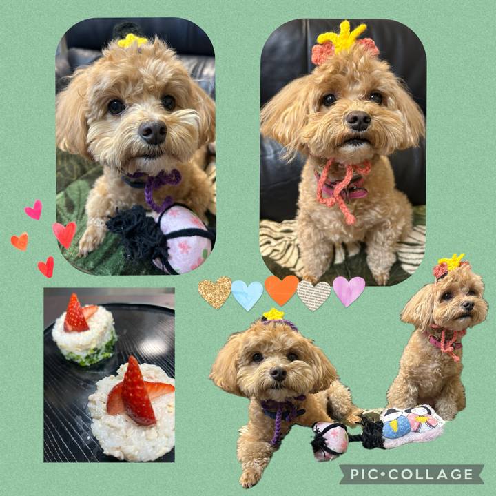 8b940340 12cd 40a1 9b76 809363d3dbd6 1741032462727