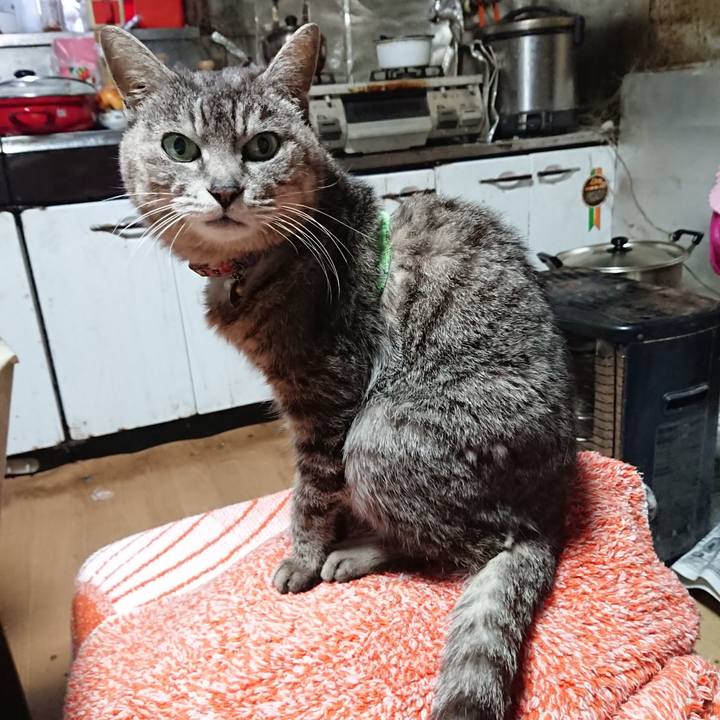 8b94229b 2d66 428b a5a5 eebfa3cbf2f8 1587413768098