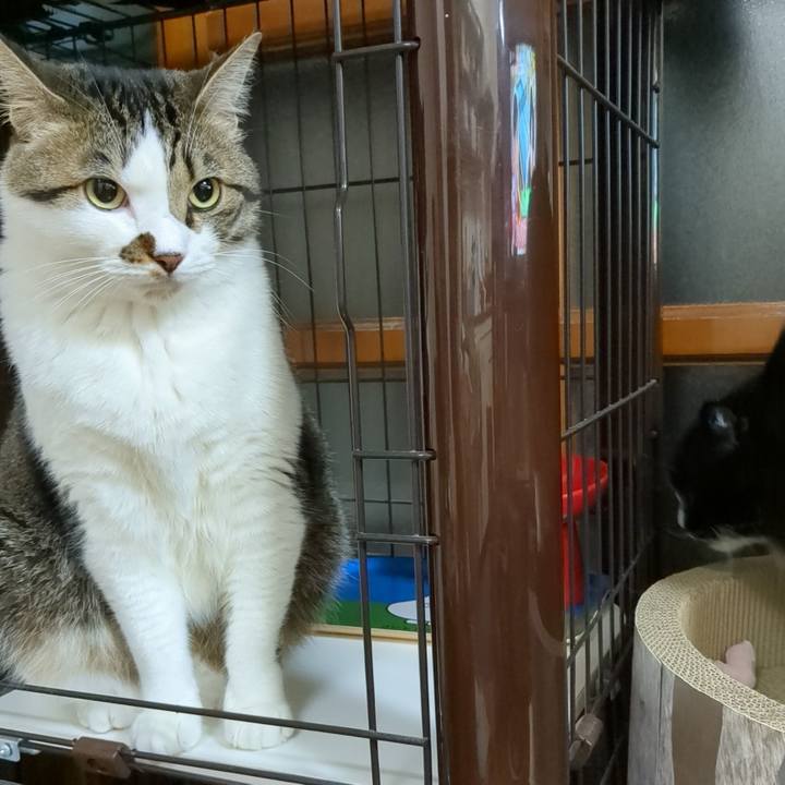 8b9464a0 b14a 4ca2 b476 984dc1e6076c 1684413733728