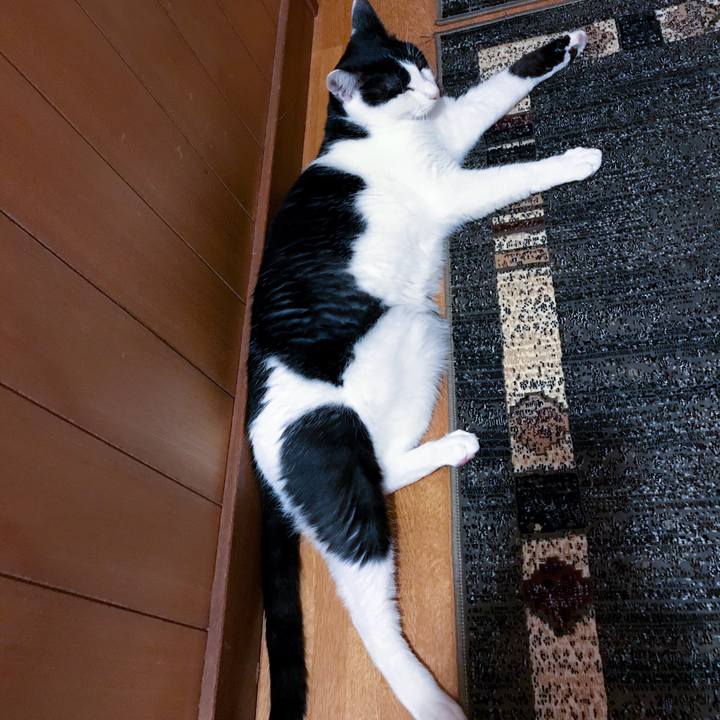 8b946dbf 5b8c 42a6 8ba2 5e1e619a1b18 1510100875447