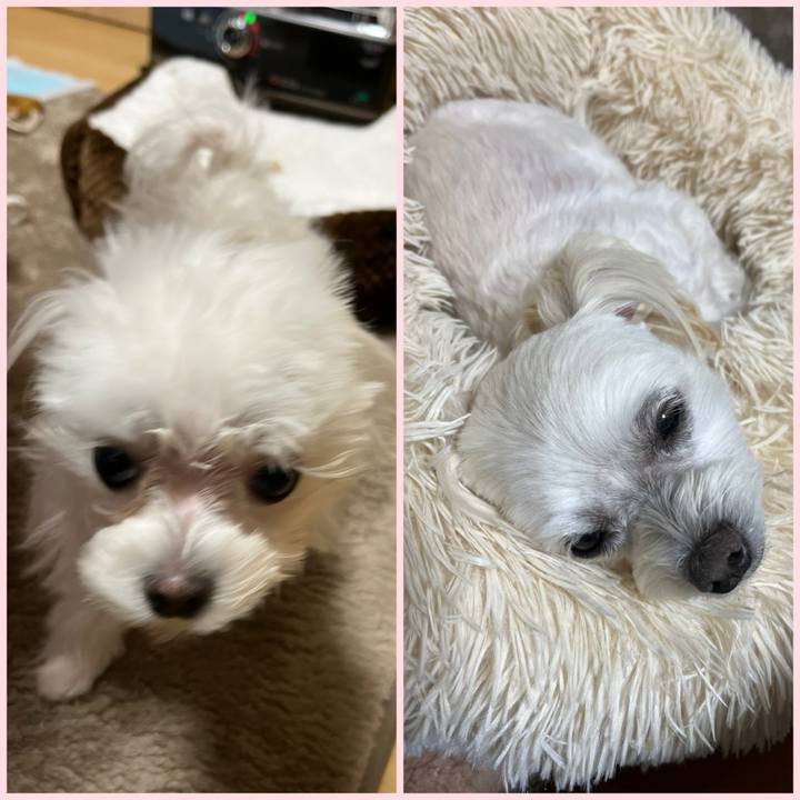 8b9499a3 ef20 4420 a17b 765ae9630a87 1707642868115