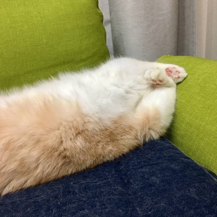 8b94c6c5 5892 40ac bd9e 17af6d85a39b 1774323562742