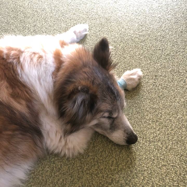 8b94df38 2045 44e2 aafe b6dac25241b1 1523245191307