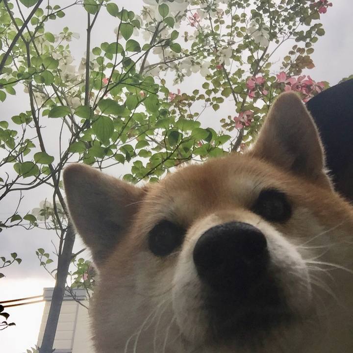 8b952b99 93d8 4dbc 9651 646b5d0738c2 1556165411534