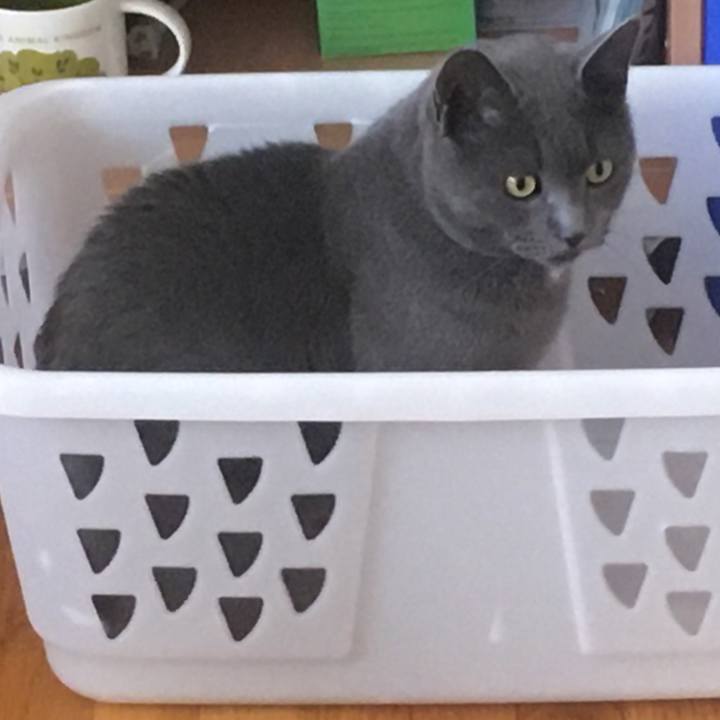 8b9551a0 11df 4094 9aed 62a98b42f123 1633131787447