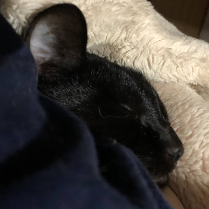 8b955aff f616 4508 93dc 973c881fa6da 1728158954672