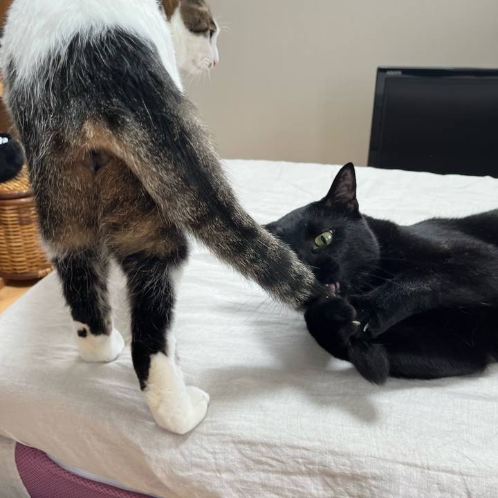 8b9570f5 54fd 4dd0 851b 5ba4fe9f151f 1686458299022