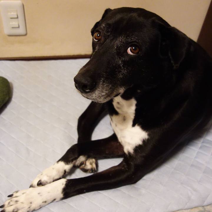 8b95c729 2d1a 459f bad1 fe4b9542ce06 1748867362648