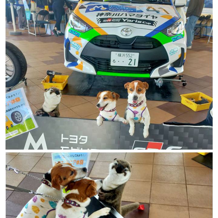 8b95e49f d73c 491d 87d3 0b48d5a0c56a 1774684204585