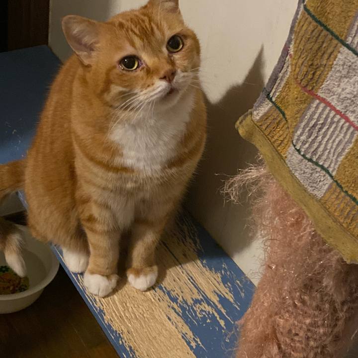 8b963e17 0f92 481f a730 1efefe910a94 1650291910402