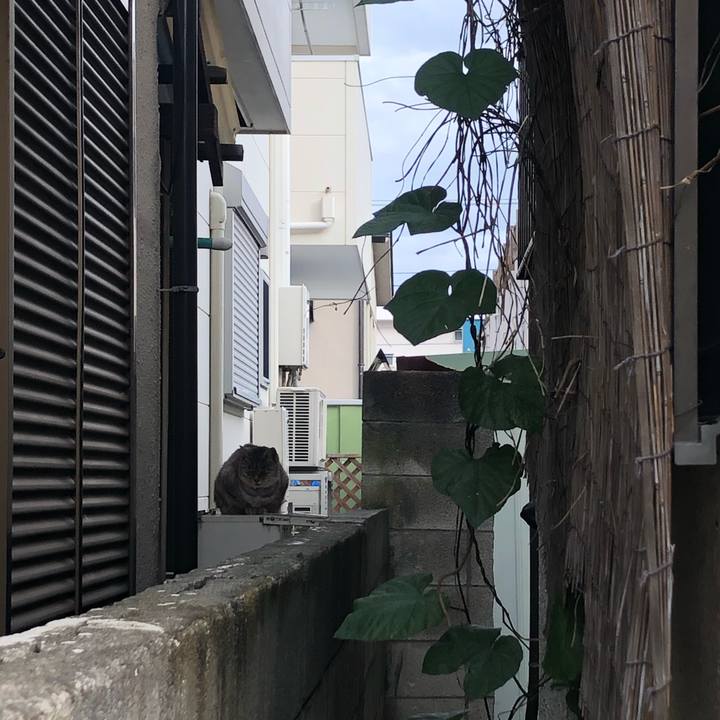 8b9647ff 5a3d 4a47 b050 a41b41edd23a 1580740627829