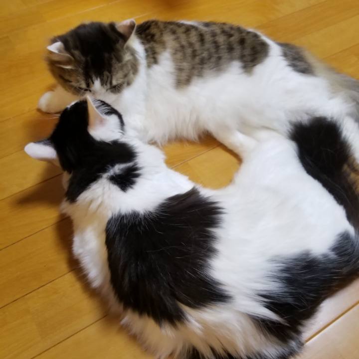 8b966227 7b6e 4397 b903 fedd00b1a22c 1535665445204