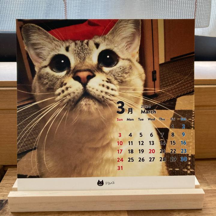 8b966d53 5310 45ea 8b16 6a2f7612bf23 1710557472593