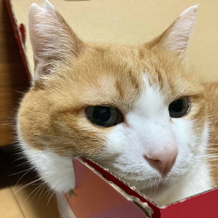 8b970265 49e5 450b bccd 3edc4ff3cb5e 1764199689786