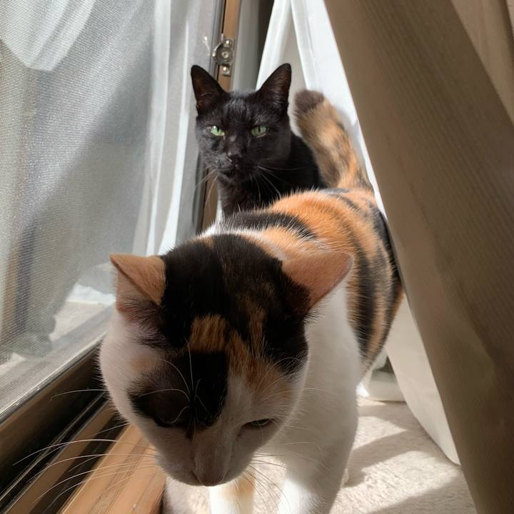 8b97048b c48d 4cb8 a133 2ec27ee46705 1571706940049