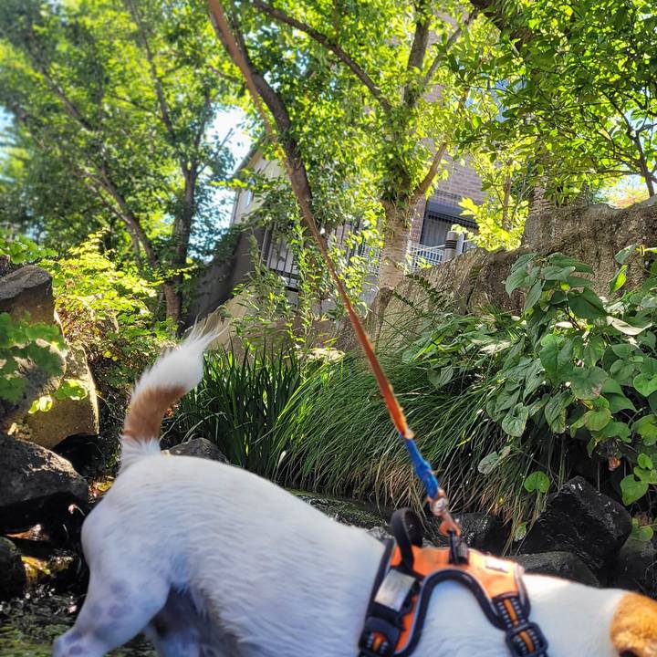 8b97240f f533 476e af85 2fca04f8890d 1658724729143