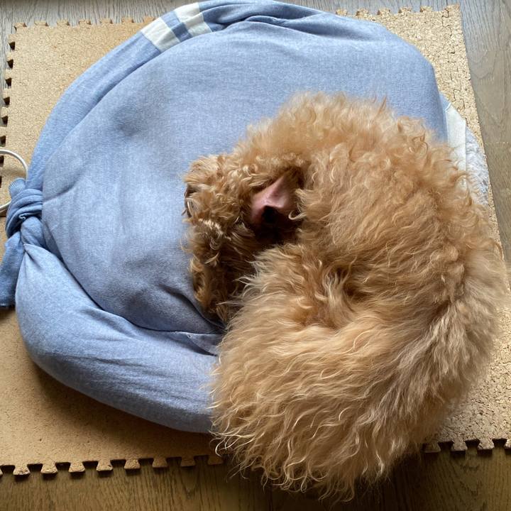 8b973b8a 7fea 4492 b498 2292f270b975 1650235894630