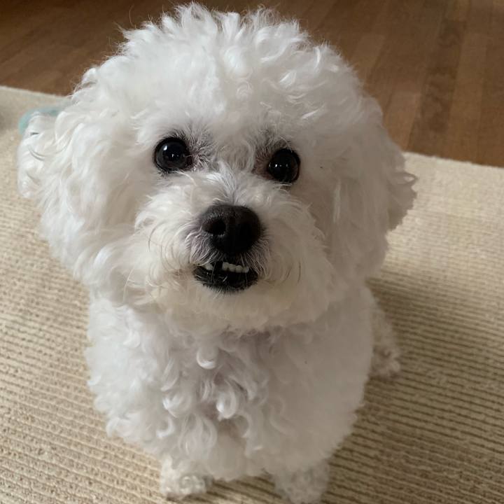 8b97442e 1e80 43d2 8625 b83d02696e49 1552045813525