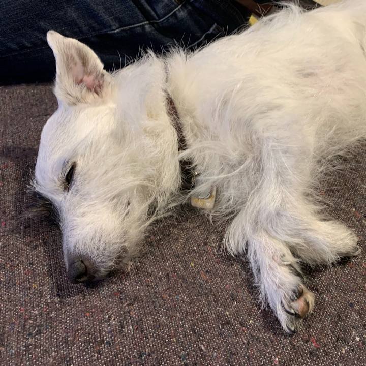 8b974e5f 2d3b 45ee b7ee 140b5a75a4fd 1678457647823