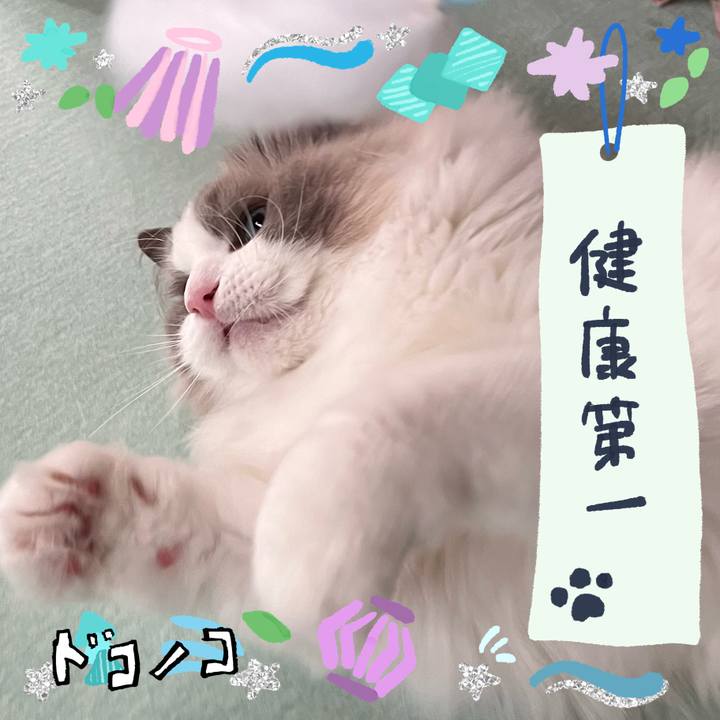 8b976cdd 97a5 4de7 be35 97fb366bfce2 1721029829081