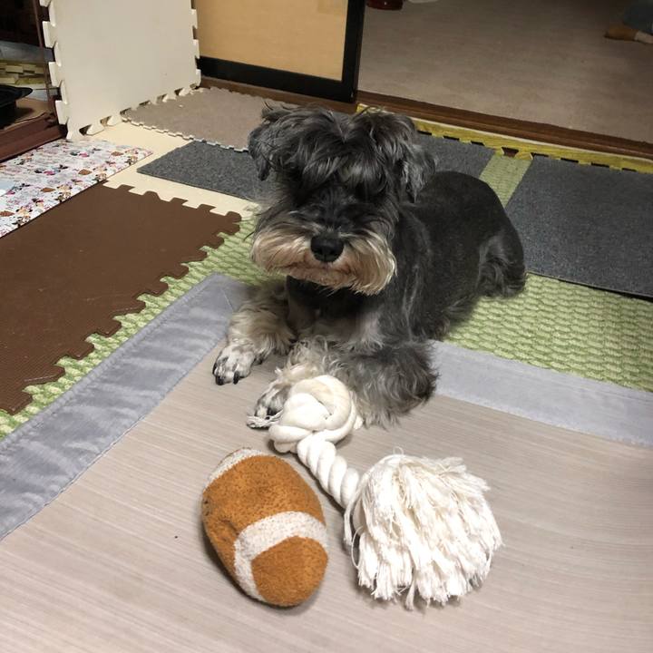 8b97719c 1220 4a46 b76c 4a4b432d42c3 1614172231294