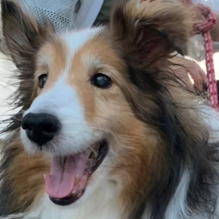 8b977eee 92fd 4afd 89da 7441f401fc21 1643364315091