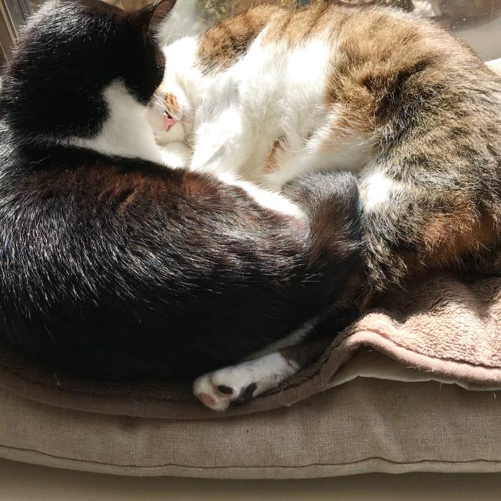 8b97acac 8eed 4bd8 9413 3128bc5237e3 1516419059162