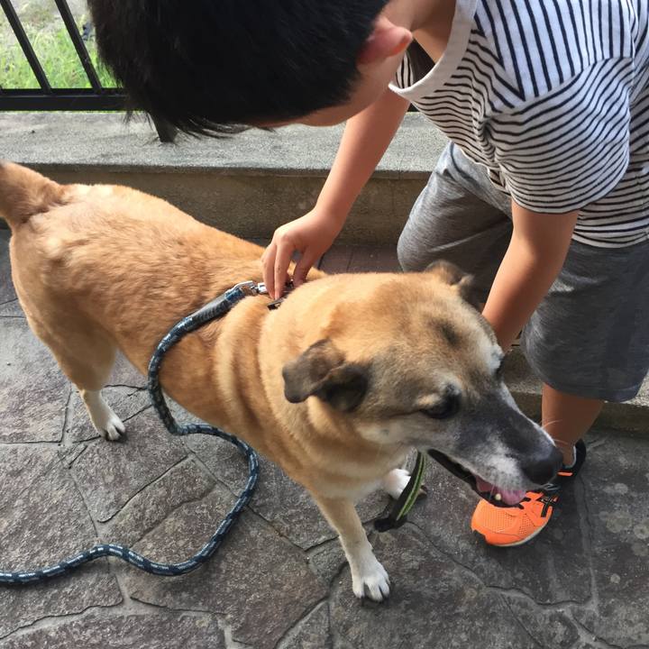 8b9835e8 e6fb 450b ac93 b22d7dd406c6 1534501877119