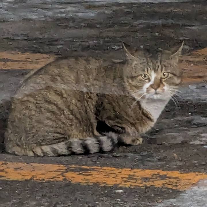 8b983b5c 8aa6 411e bed6 6f59a6d5a0be 1738831634637