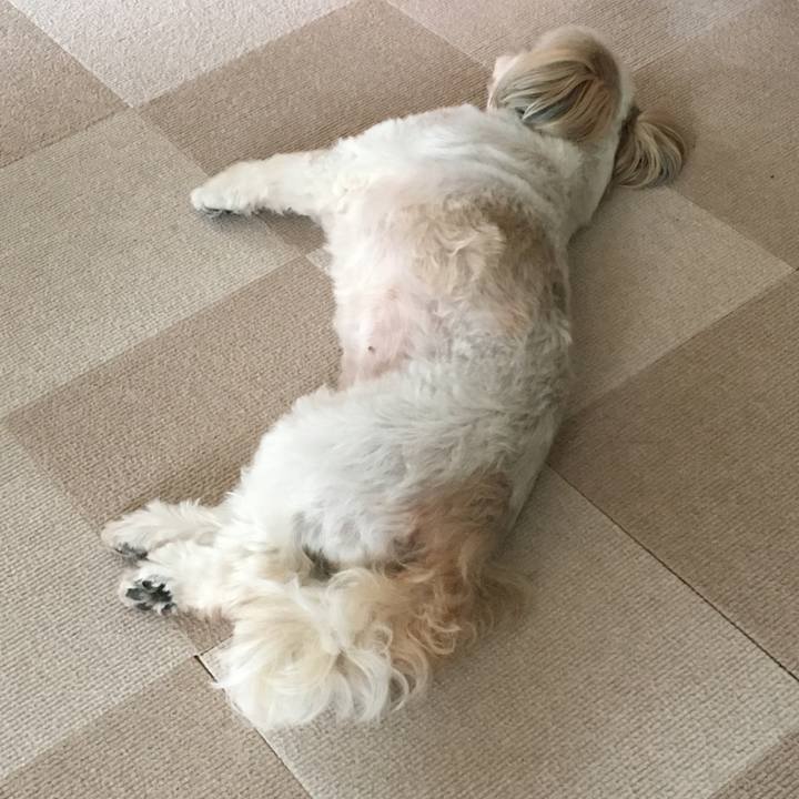 8b984cb0 06b2 48ef b002 11fa7aa50d55 1623538798620