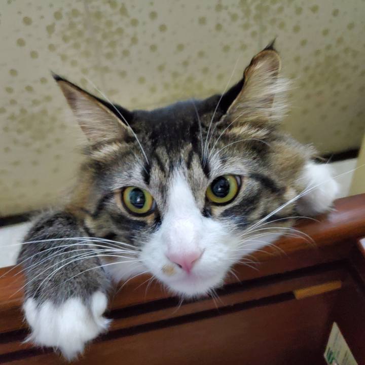 8b98598a 97d3 42d8 827e 6fc5c93485f0 1675222182658