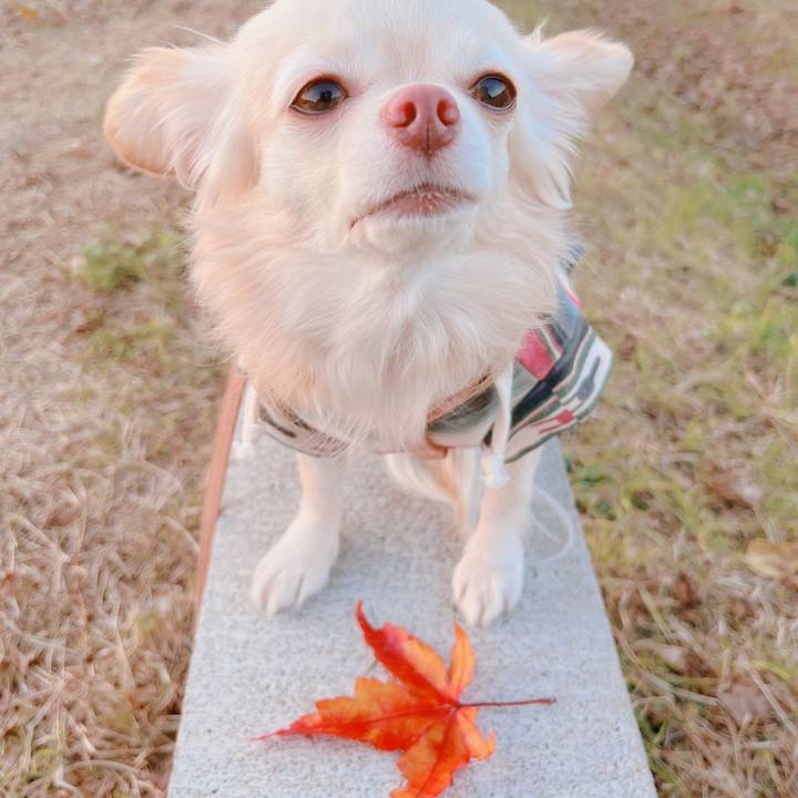 8b9866d3 832c 42dc 840d 4d6a7f4a4980 1670838767683