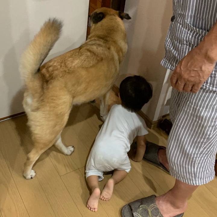 8b98c6fc c332 407e 992f 4fd462f42b42 1565527485750