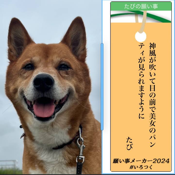 8b98e388 71c6 44ef 88de 3a8cb361aa47 1720359997549