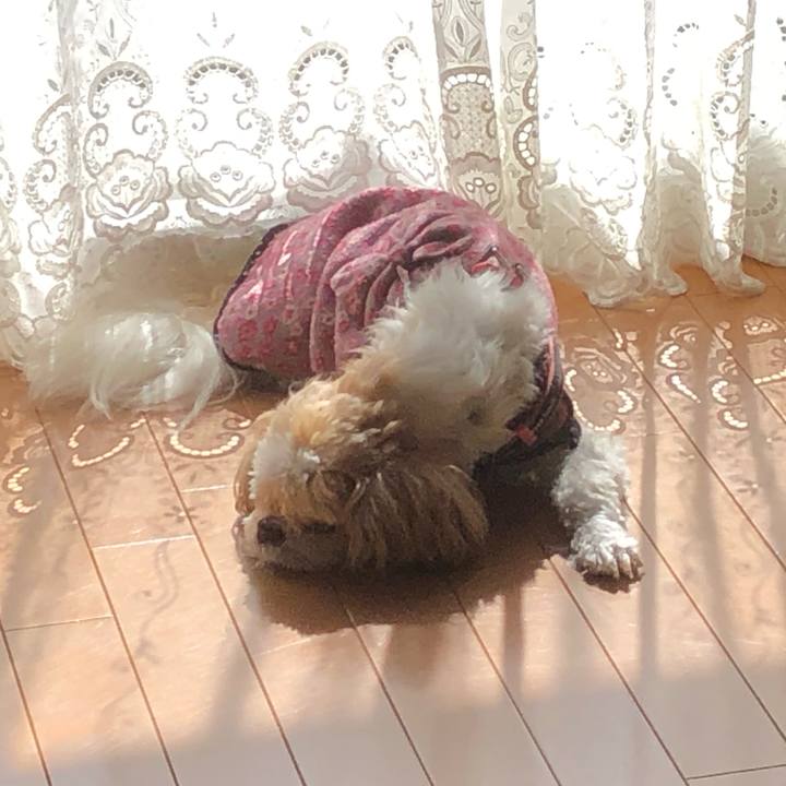 8b991e0f 7cdd 458d 8140 b289f0468774 1635457920512