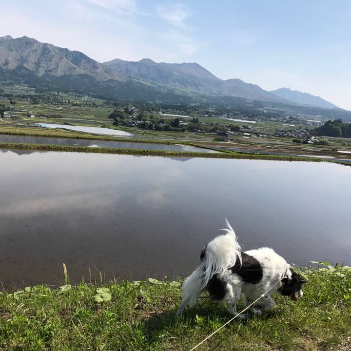 8b99285e 795b 4fc5 9f9d 82d474928543 1557029128889