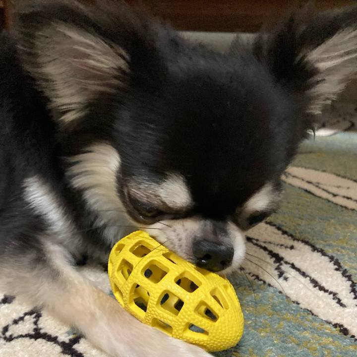 8b99292c 5424 4799 8bc3 2285a81fe1d4 1626531736806