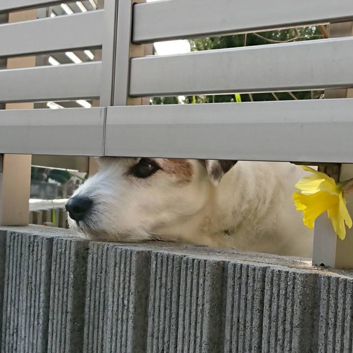 8b99323a 5db7 440a a3cb 20776e48de00 1552952255889