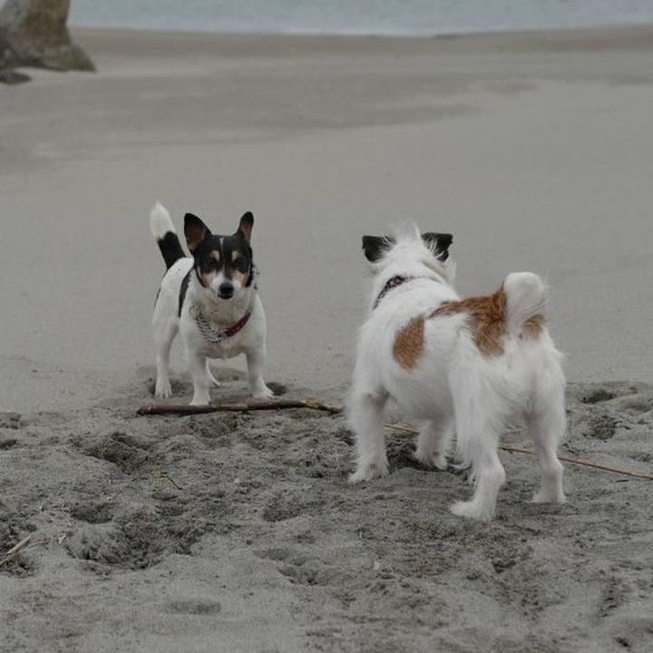 8b993a2a 4752 41f1 9edb 0e8b63727a2e 1520490075971