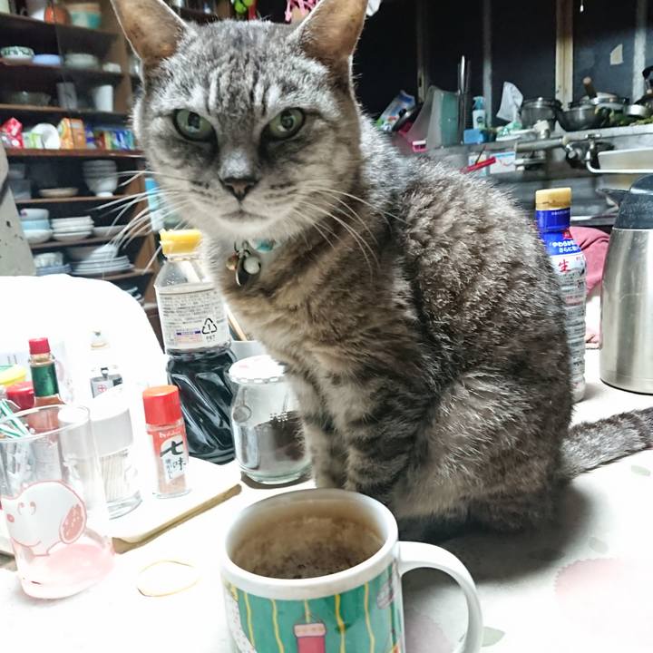 8b993c08 7af7 4377 820d e63e98068db1 1570047854830